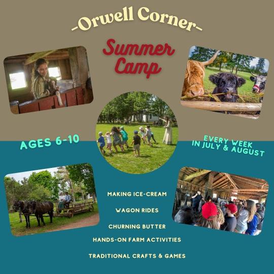 images orwell corner showing farm animals and children playing