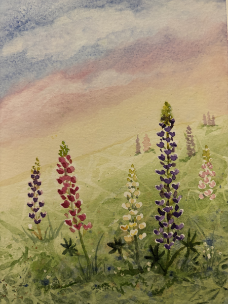 Watercolor of lupine flowers in a field under a pastel sky