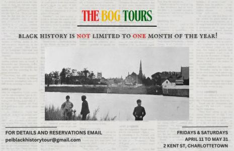 Poster of The Bog Tour