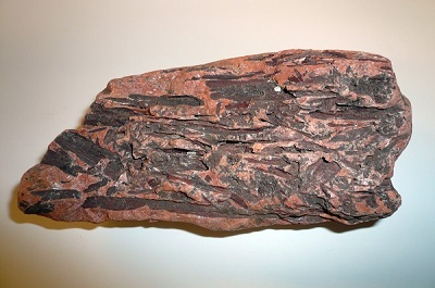 Earle Kennedy collection, described as: mineral-barite-fossil-tree stem, collected at Hillsborough Bay
